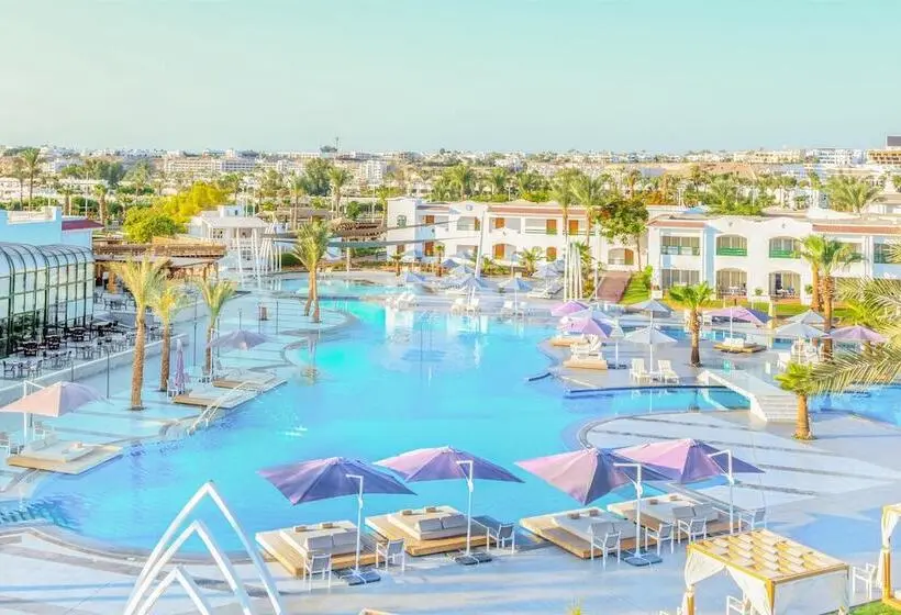 اتاق لوکس با تخت دو نفره بزرگ, Jaz Sharm Dreams