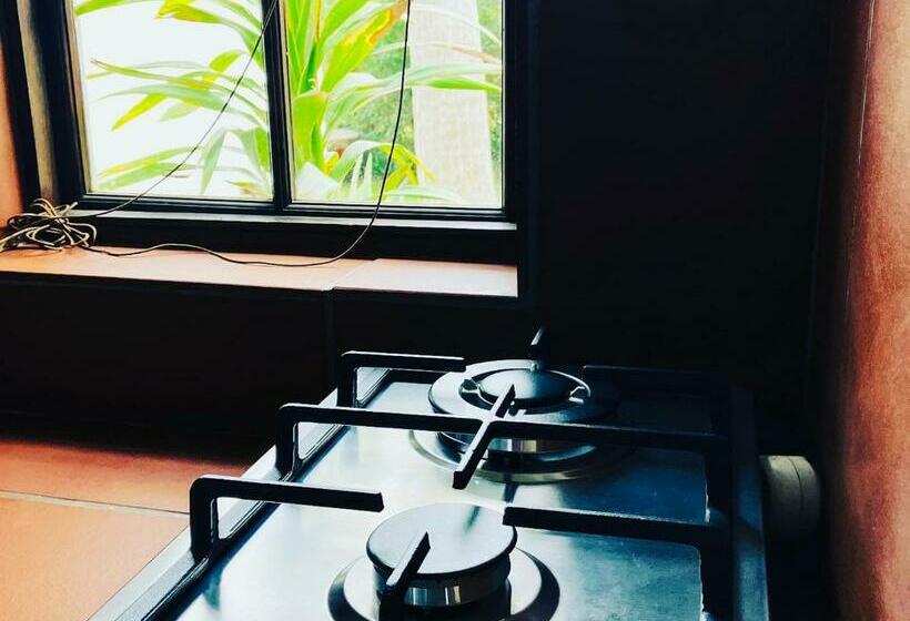 استودیوی استاندارد, Hermitage Huisies