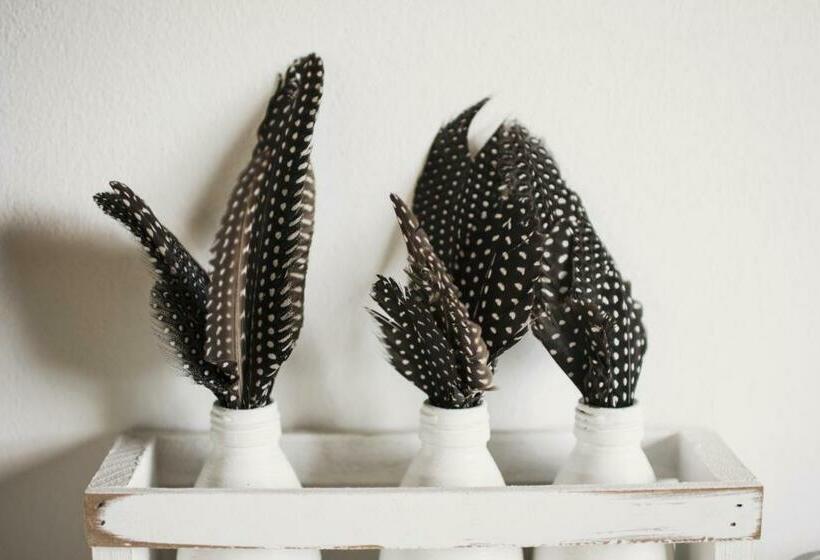 استودیوی استاندارد, Hermitage Huisies