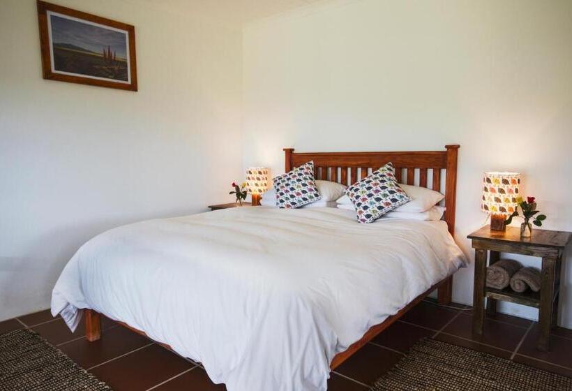 استودیوی استاندارد, Hermitage Huisies