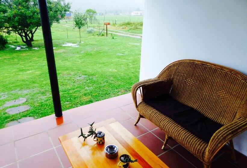 استودیوی استاندارد, Hermitage Huisies