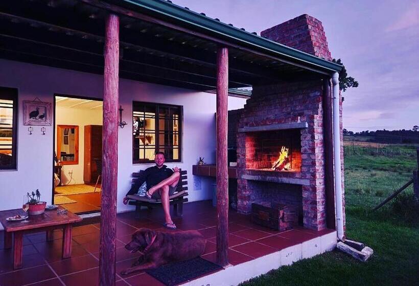 استودیوی استاندارد, Hermitage Huisies