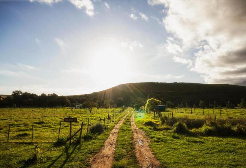 خانه 1 خوابه, Hermitage Huisies