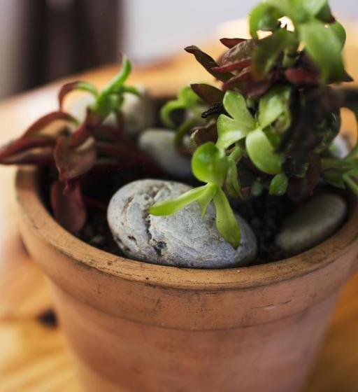 خانه 1 خوابه, Hermitage Huisies