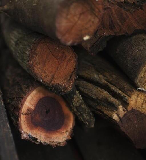 استودیوی استاندارد, Hermitage Huisies