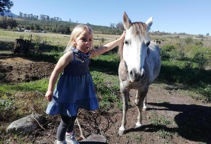 خانه 1 خوابه, Hermitage Huisies