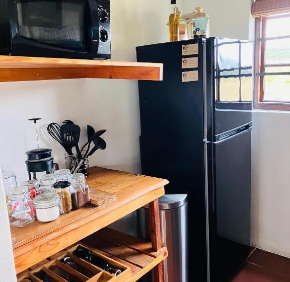 استودیوی استاندارد, Hermitage Huisies