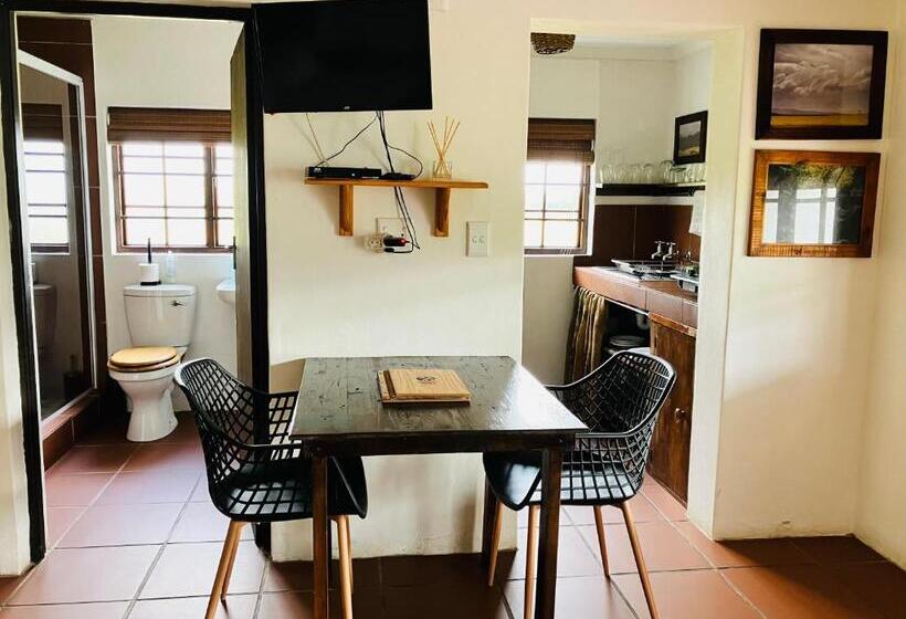 استودیوی استاندارد, Hermitage Huisies