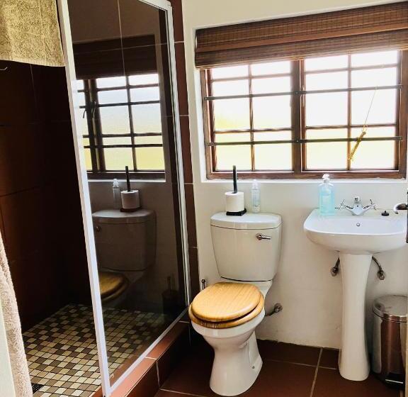 استودیوی استاندارد, Hermitage Huisies