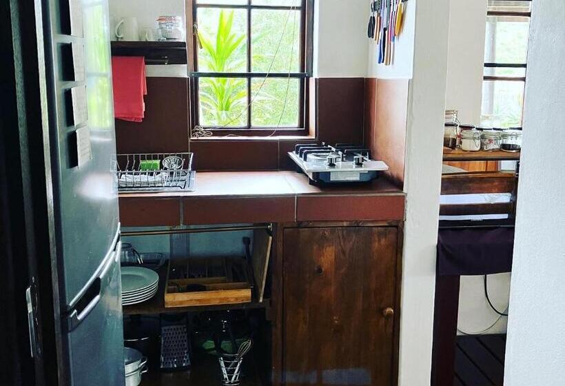 استودیوی استاندارد, Hermitage Huisies