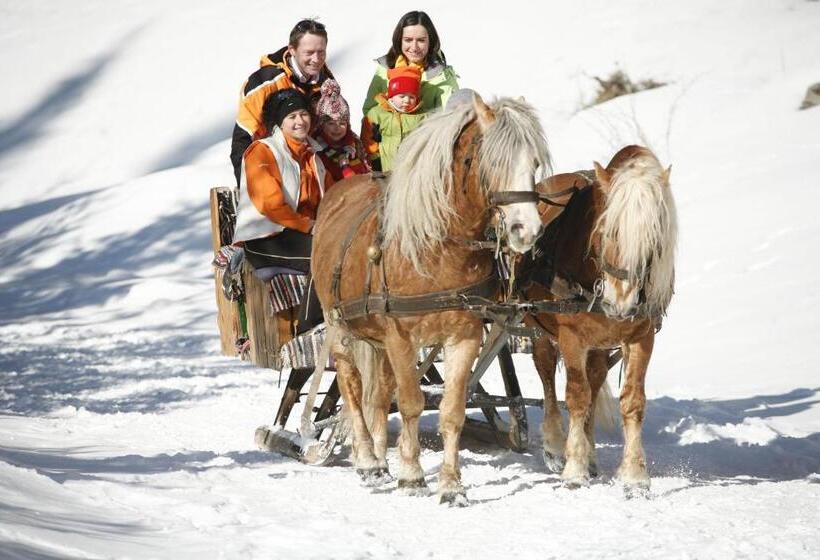 Четырехместный Номер Стандарт, Landhotel Restaurant Willingshofer
