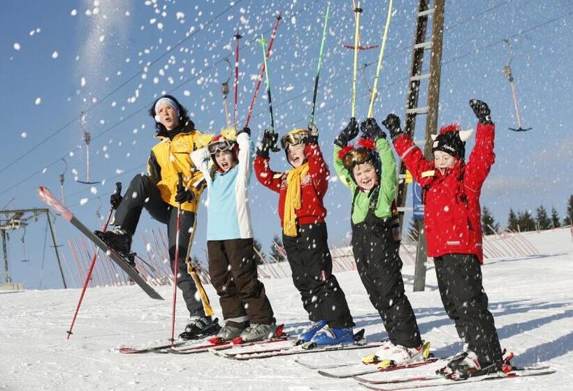 חדר סטנדרט לארבעה, Landhotel Restaurant Willingshofer