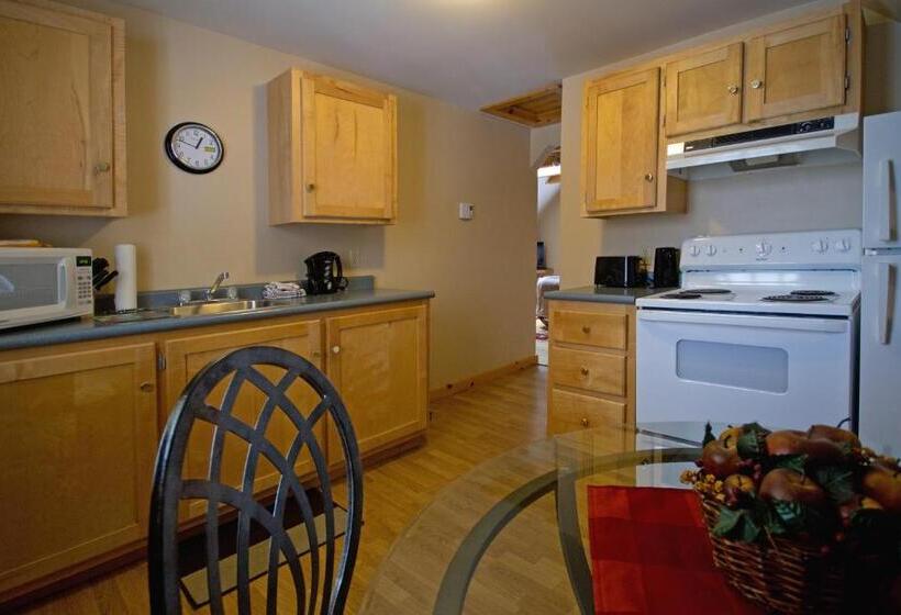 جناح سرير كينج, Mackenzie Motel & Cottages