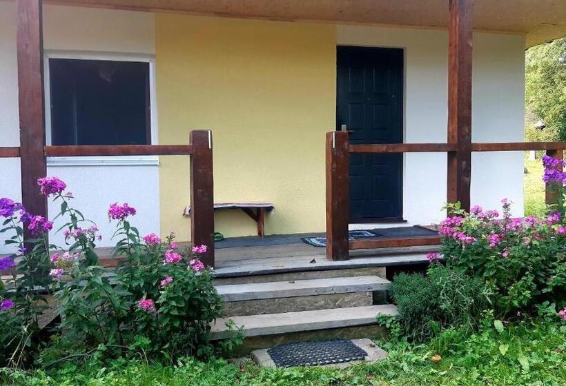 غرفة قياسية رباعية حمام مشترك, Dacha Podobovets 127