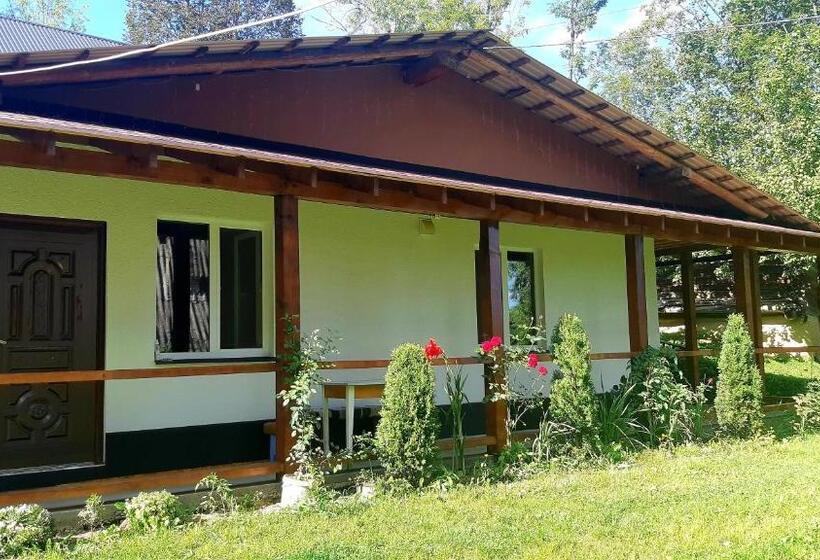 غرفة قياسية رباعية حمام مشترك, Dacha Podobovets 127