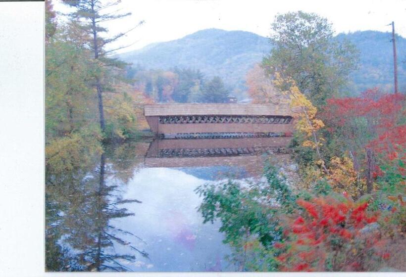 غرفه قياسيه سريرين مزدوجين, Jack O Lantern Resort Lodging