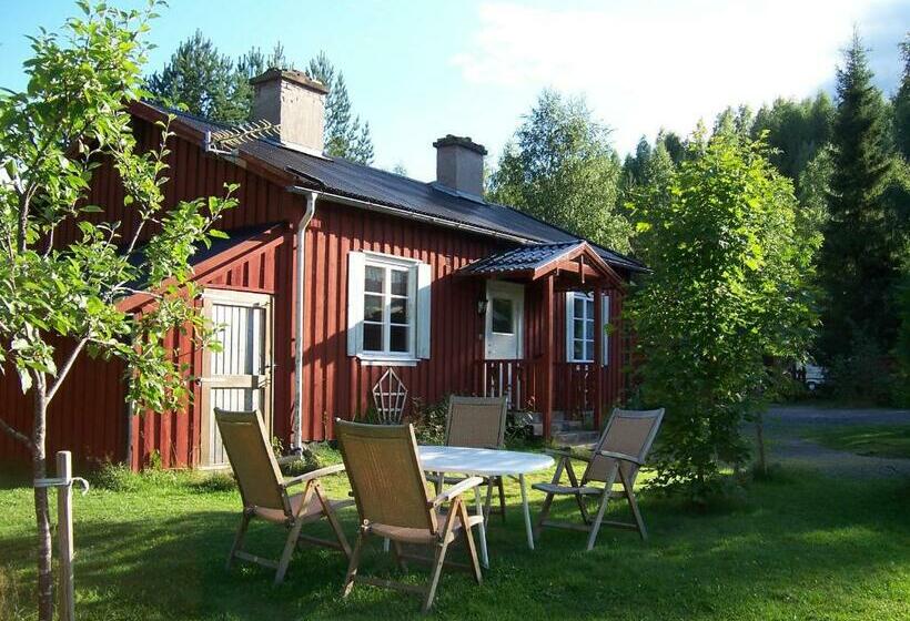 منزل غرفتين نوم, Nya Skogsgården Hostel