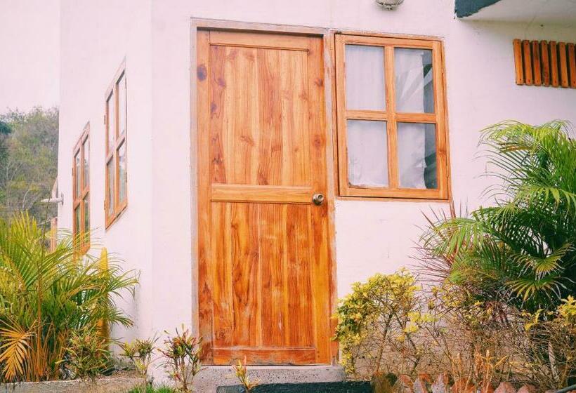 Номер Стандарт Вид на Сад, Hermanos Perdidos Surf