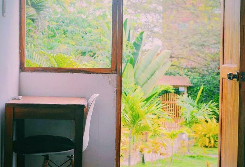 Номер Стандарт Вид на Сад, Hermanos Perdidos Surf