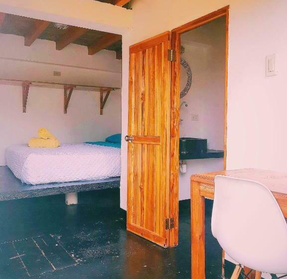 Номер Стандарт Вид на Сад, Hermanos Perdidos Surf