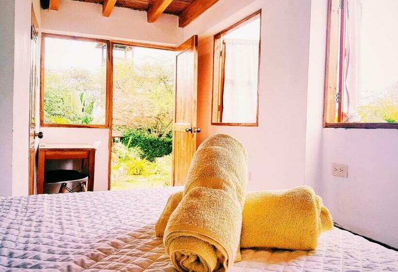 Номер Стандарт Вид на Сад, Hermanos Perdidos Surf