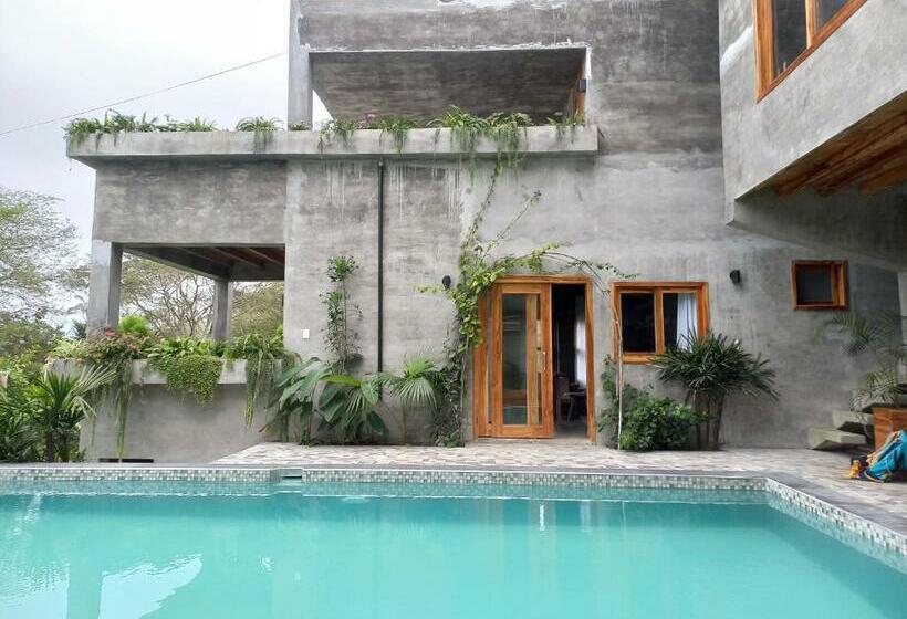 Люкс Повышенной Комфортности, Hermanos Perdidos Surf