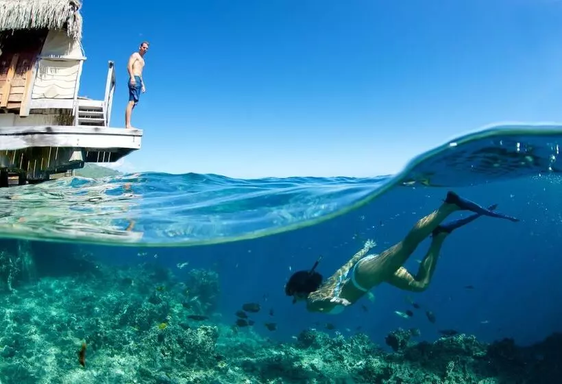 بانگلوی ممتاز, Manava Beach Resort & Spa Moorea