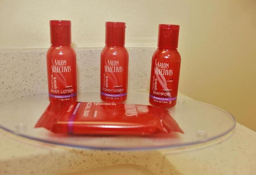 اتاق استاندارد برای معلولان, Mayaguez Plaza, Bw Signature Collection