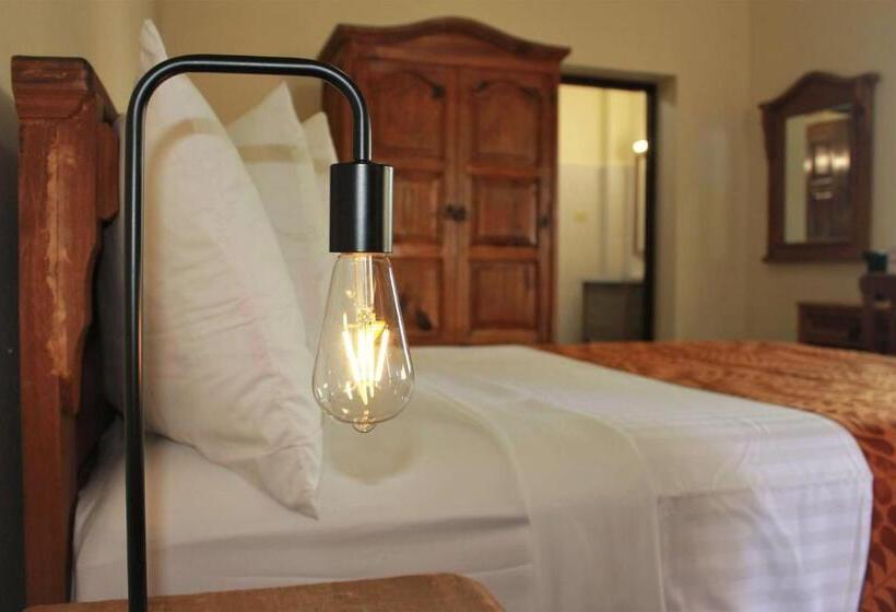 اتاق استاندارد برای معلولان, Mayaguez Plaza, Bw Signature Collection