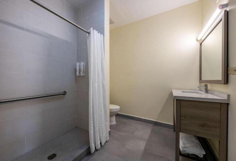 اتاق استاندارد با چشمانداز شهر, Mayaguez Plaza, Bw Signature Collection