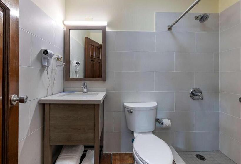 اتاق استاندارد با چشم‌انداز شهر, Mayaguez Plaza, Bw Signature Collection