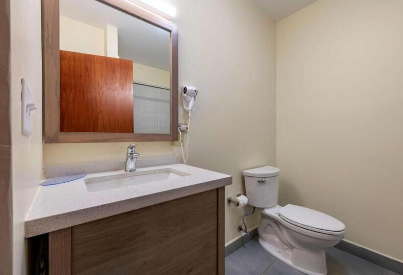 اتاق استاندارد با تخت بزرگ, Mayaguez Plaza, Bw Signature Collection