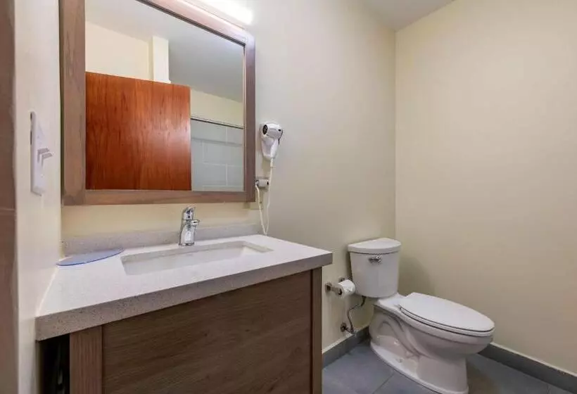 اتاق استاندارد با تخت بزرگ, Mayaguez Plaza, Bw Signature Collection
