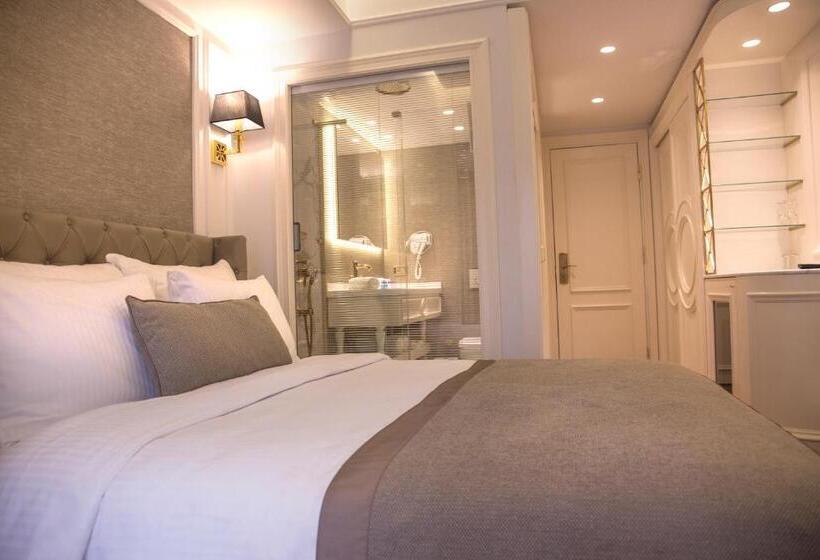 اتاق سوپریور, Mina Hotel   Special Category