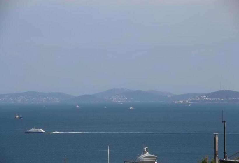 سوئیت با تخت بزرگ, Mina Hotel   Special Category