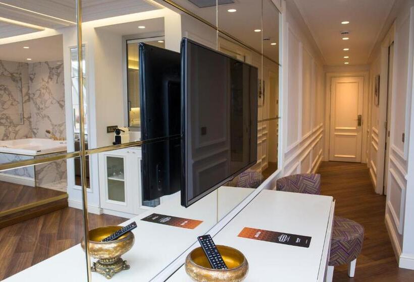 سوئیت با تخت بزرگ, Mina Hotel   Special Category