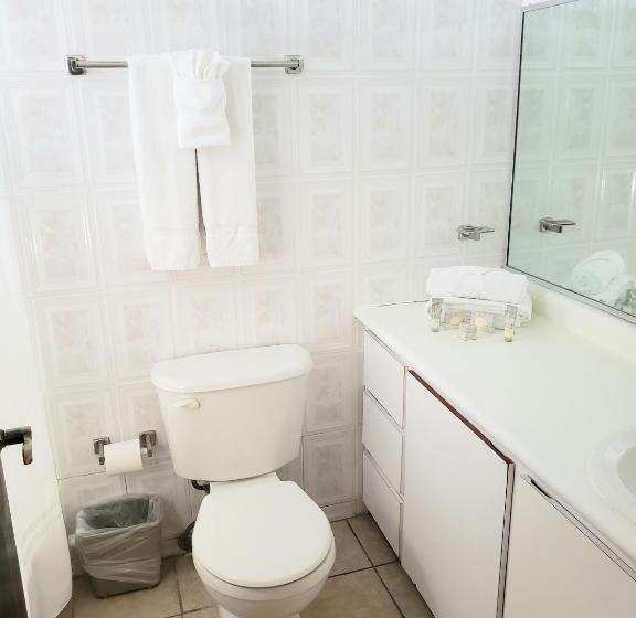 اتاق لوکس با تخت بزرگ, Parador El Buen Cafe