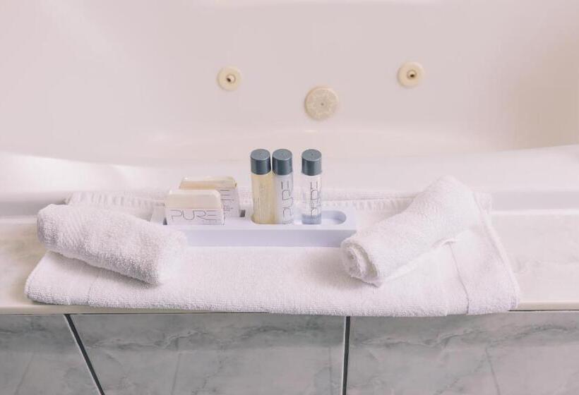 חדר סטנדרט, Service Plus Inns And Suites