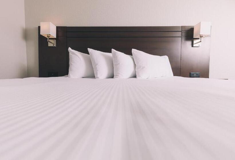 חדר סטנדרט, Service Plus Inns And Suites