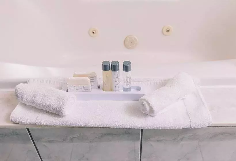 اتاق استاندارد, Service Plus Inns And Suites