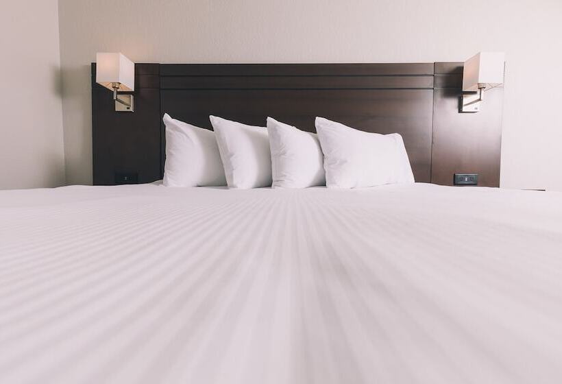 חדר סטנדרט, Service Plus Inns And Suites