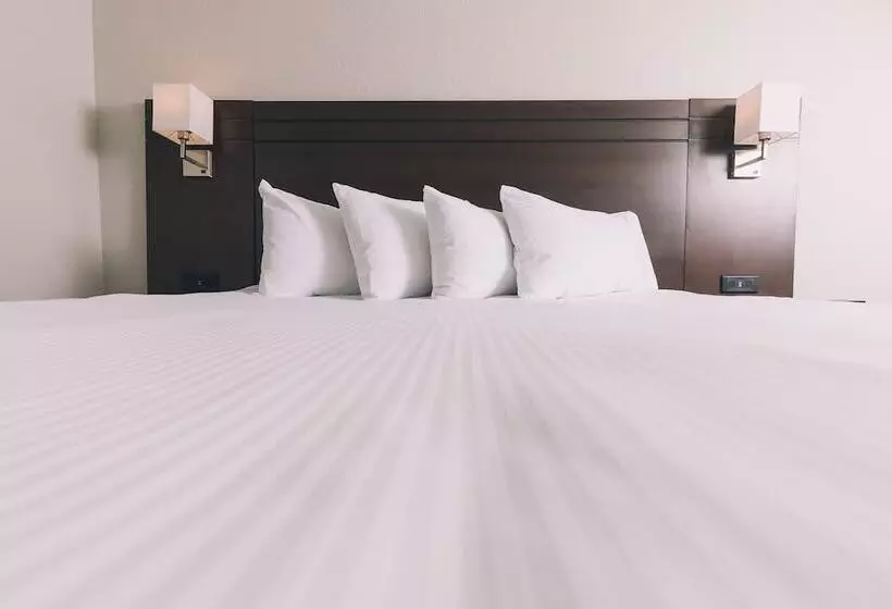 اتاق استاندارد, Service Plus Inns And Suites