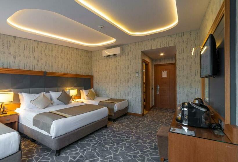 اتاق سوپریور خانوادگی, Vicenza