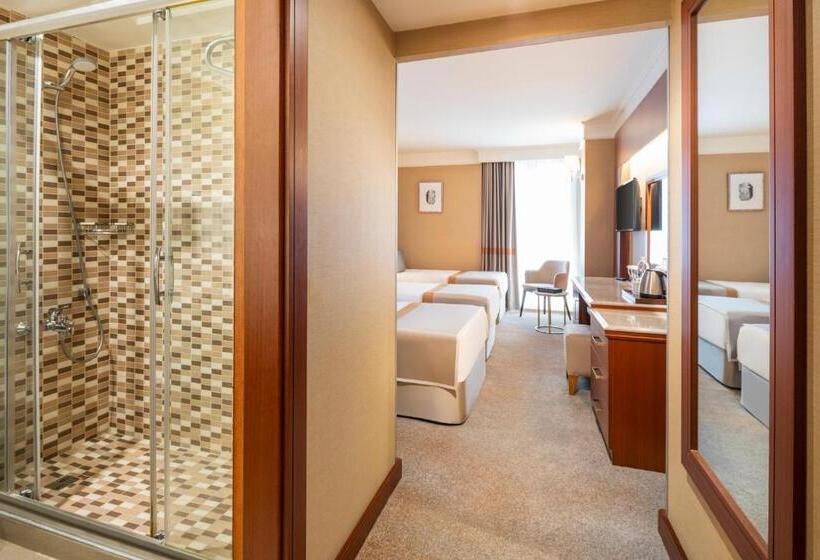 اتاق استاندارد سه نفره, Vicenza