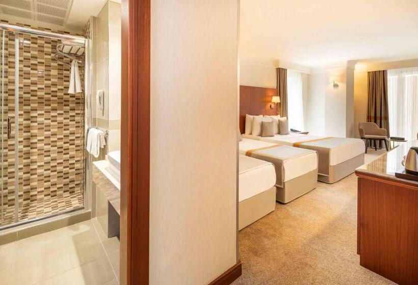 اتاق استاندارد سه نفره, Vicenza