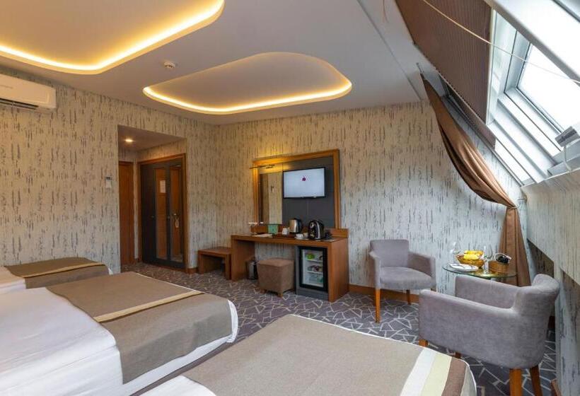 اتاق سوپریور خانوادگی, Vicenza