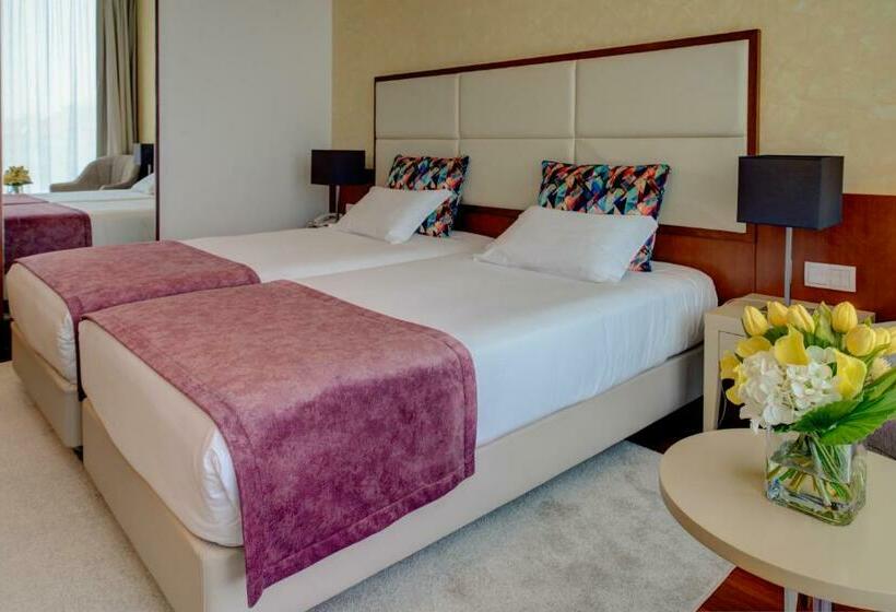 اتاق استاندارد یک نفره, Vip Executive Arts