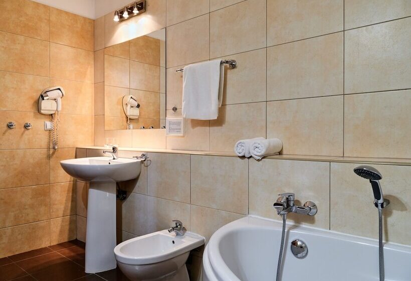 スタンダードスタジオ, Great Polonia Kraków Airport   Ex Hotel Witek