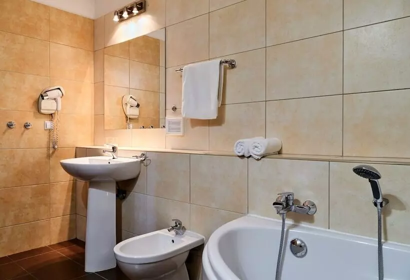 استودیوی استاندارد, Great Polonia Kraków Airport Ex Hotel Witek