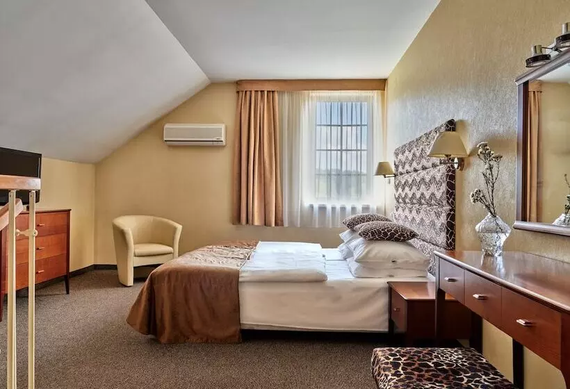 استودیوی استاندارد, Great Polonia Kraków Airport Ex Hotel Witek